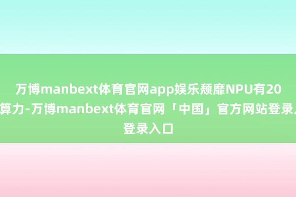 万博manbext体育官网app娱乐颓靡NPU有20T的算力-万博manbext体育官网「中国」官方网站登录入口