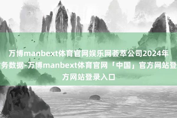 万博manbext体育官网娱乐网荟萃公司2024年中报财务数据-万博manbext体育官网「中国」官方网站登录入口