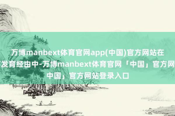 万博manbext体育官网app(中国)官方网站在荔枝的孕育发育经由中-万博manbext体育官网「中国」官方网站登录入口